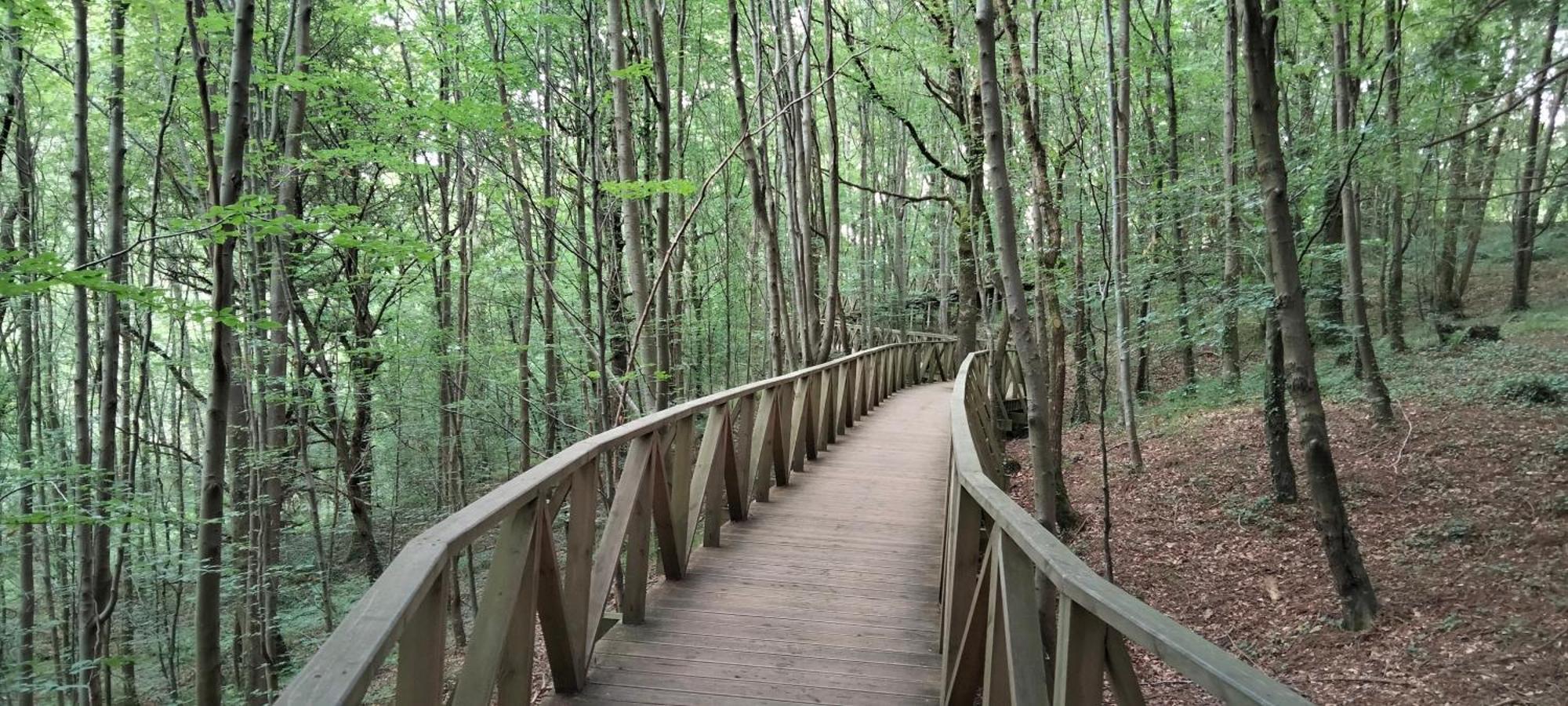 El Mirador Del Valle, A 9 Min De קומיאס מראה חיצוני תמונה